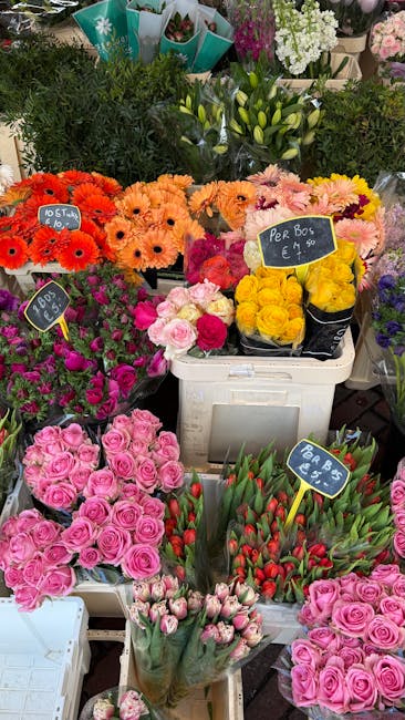 A vibrant display of freshly arranged flowers at a florist stall, featuring bright orange Gerbera daisies, soft pink roses, and red-tipped tulips, all arranged in simple bouquets. The Gerbera daisies 