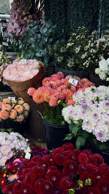 A vibrant display of fresh flowers at a local florist, featuring a variety of blooms in soft pastel and bold shades. Prominently, there are pale pink roses with delicate, layered petals arranged in a