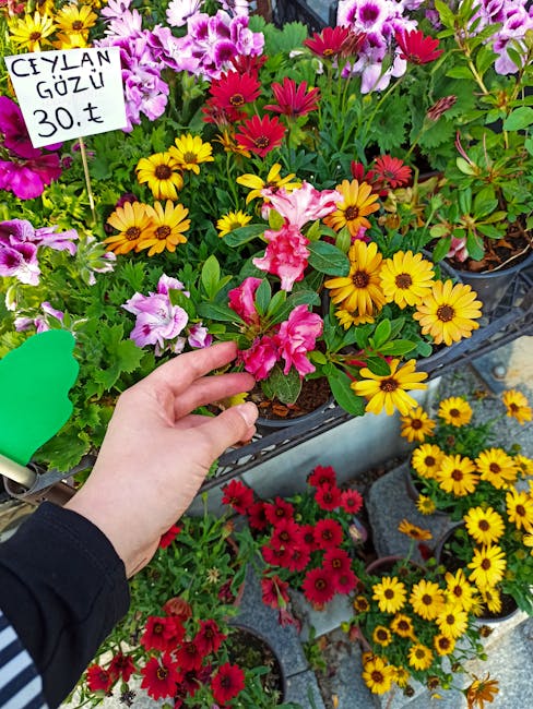 Close-up of a person's hand holding a small pink and white azalea flowering plant with lush green leaves, displayed among a variety of other vibrant flowering plants in black plastic pots at a local g